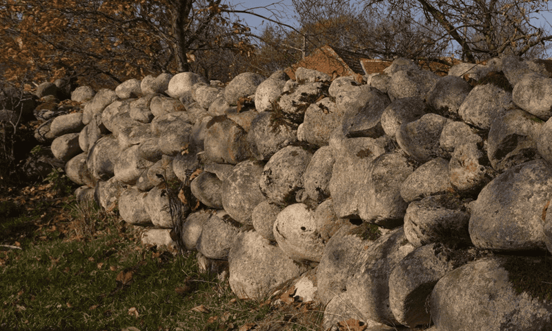 Wall